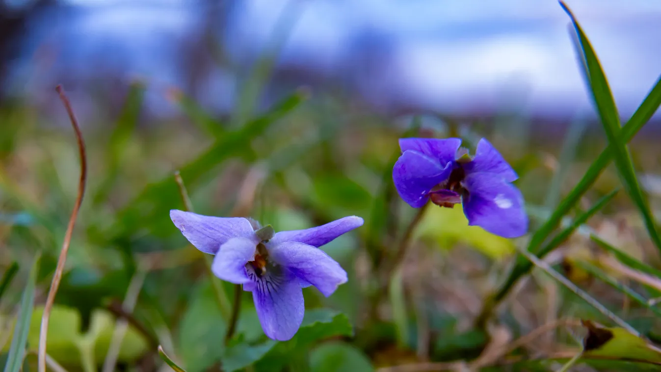 Bolondabb már nem is lehetne az év végi időjárás