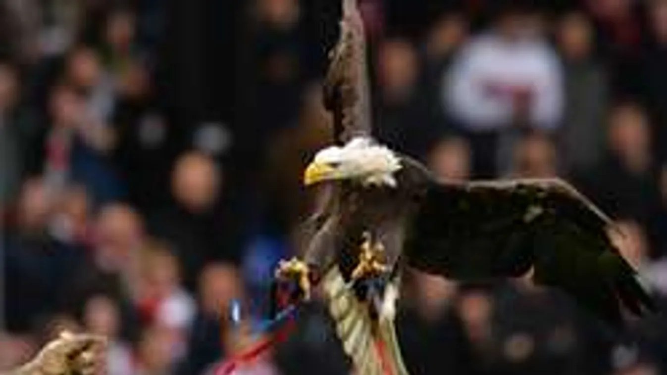 Vigyázz, Fradi! Ilyen ciki, ha lelécel a kabalasas