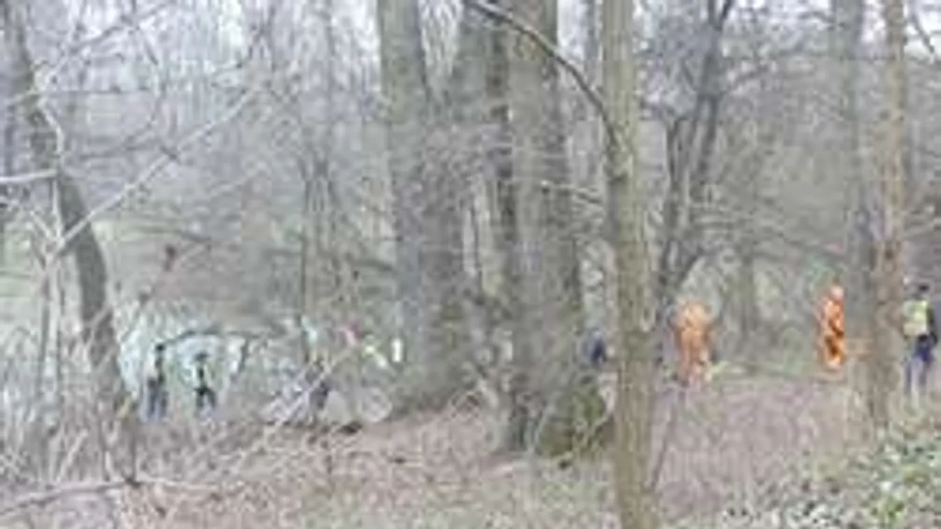 Nyomkövető kutyákkal és drónnal is keresik az eltűnt győri lányt!