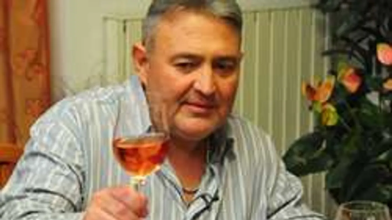 Balkézről jött gyerekéről vallott Gesztesi