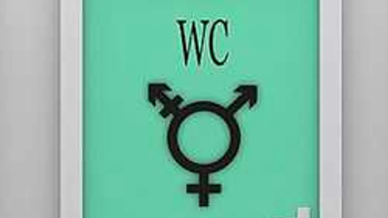 Harmadik nem bevezetése: külön vécé és öltöző jár az interszexuálisoknak