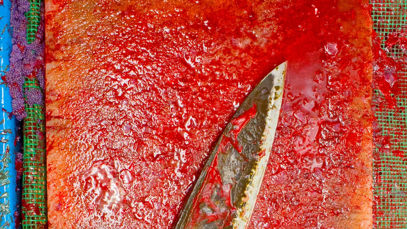 Féltékenységből levágta férje nemi szervét a felesége: vérében fekve találtak rá