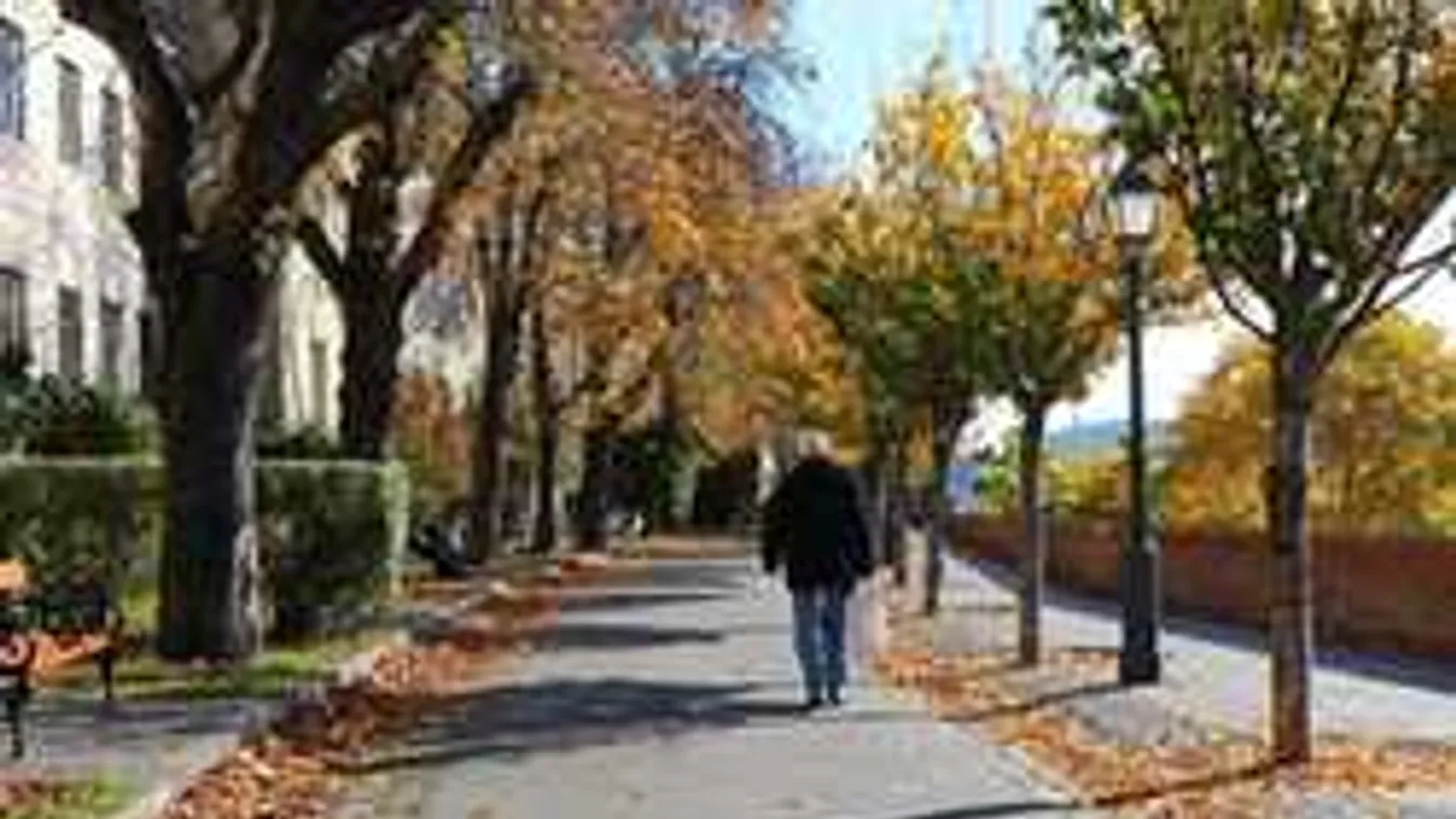 Ötmilliárdos keretszerződés született Rákosmente mélyépítő beruházásaira