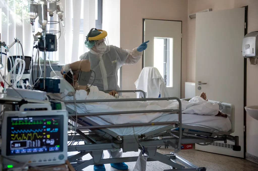 Fotó: Árvai Károly / kormany.hu