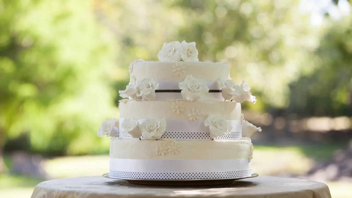 Wedding cake on table at park