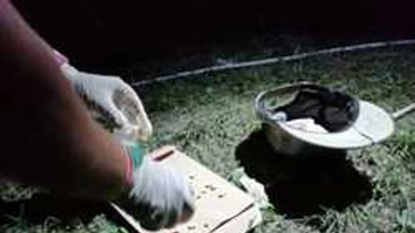 Rendőri akció a Szigeten, elfogtak éjjel egy veszélyes olasz férfit