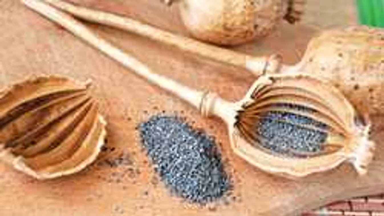 Lecsapott a Nébih: elképesztő extrával árulták a mákot a piacon