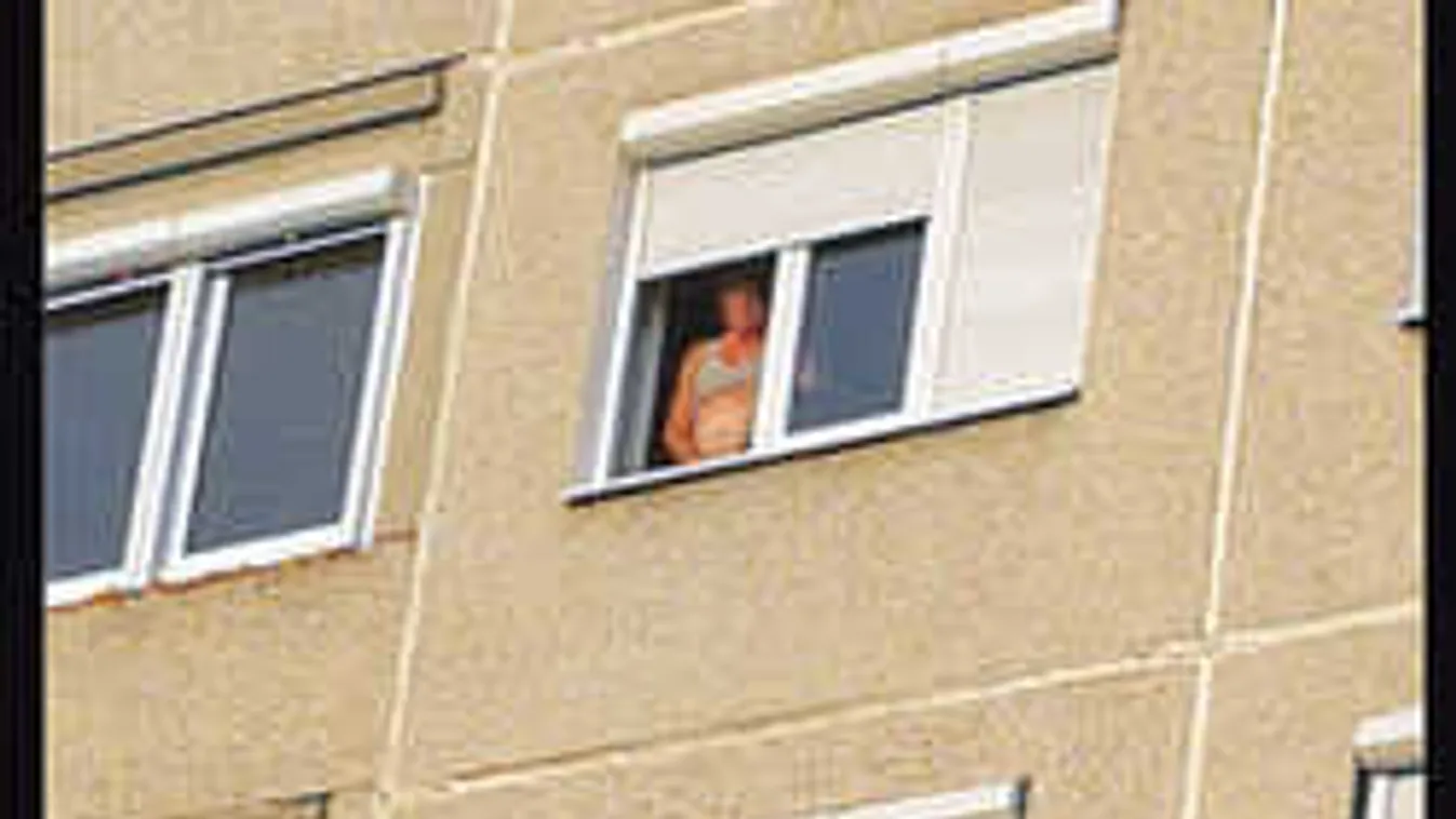 Gyomorforgató, ami az óbudai panelben történt