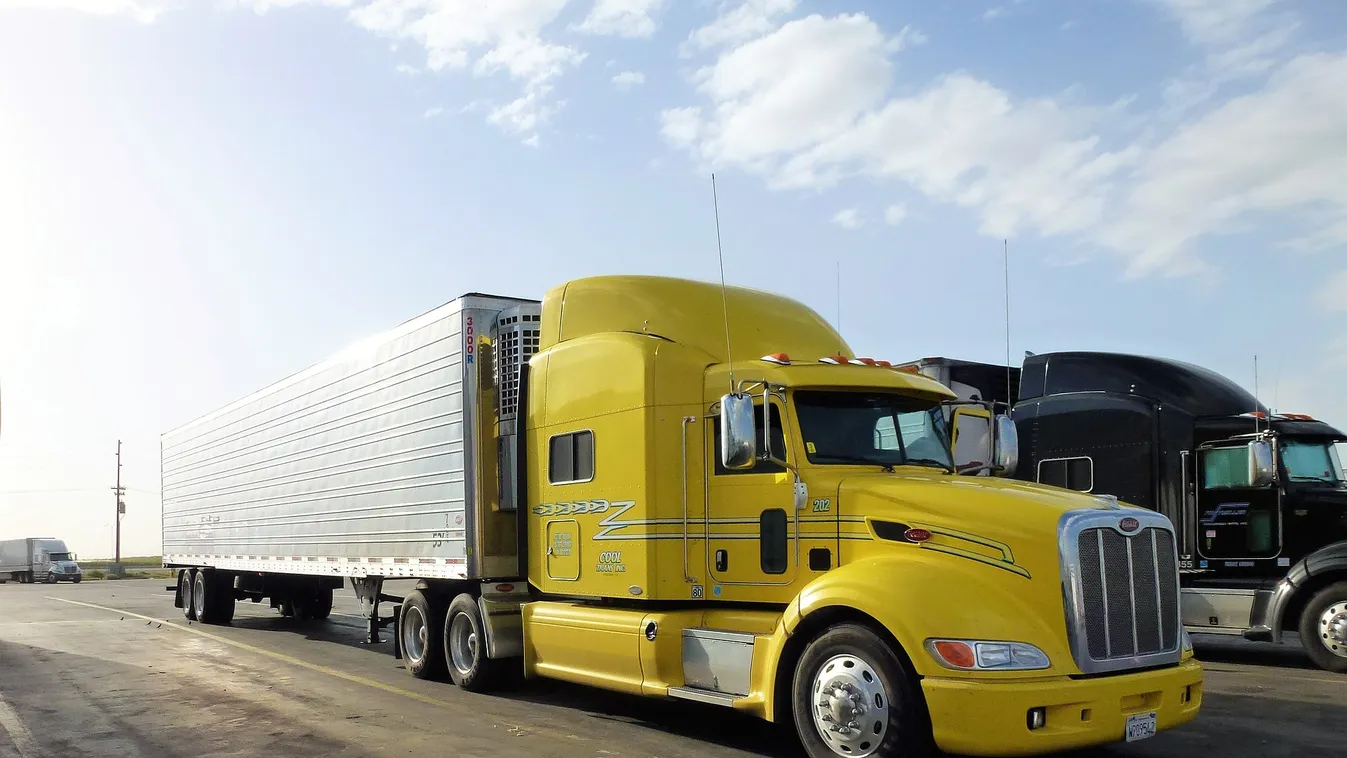 Nem hiszed el, milyen állatokat próbáltak átcsempészni a magyar határon