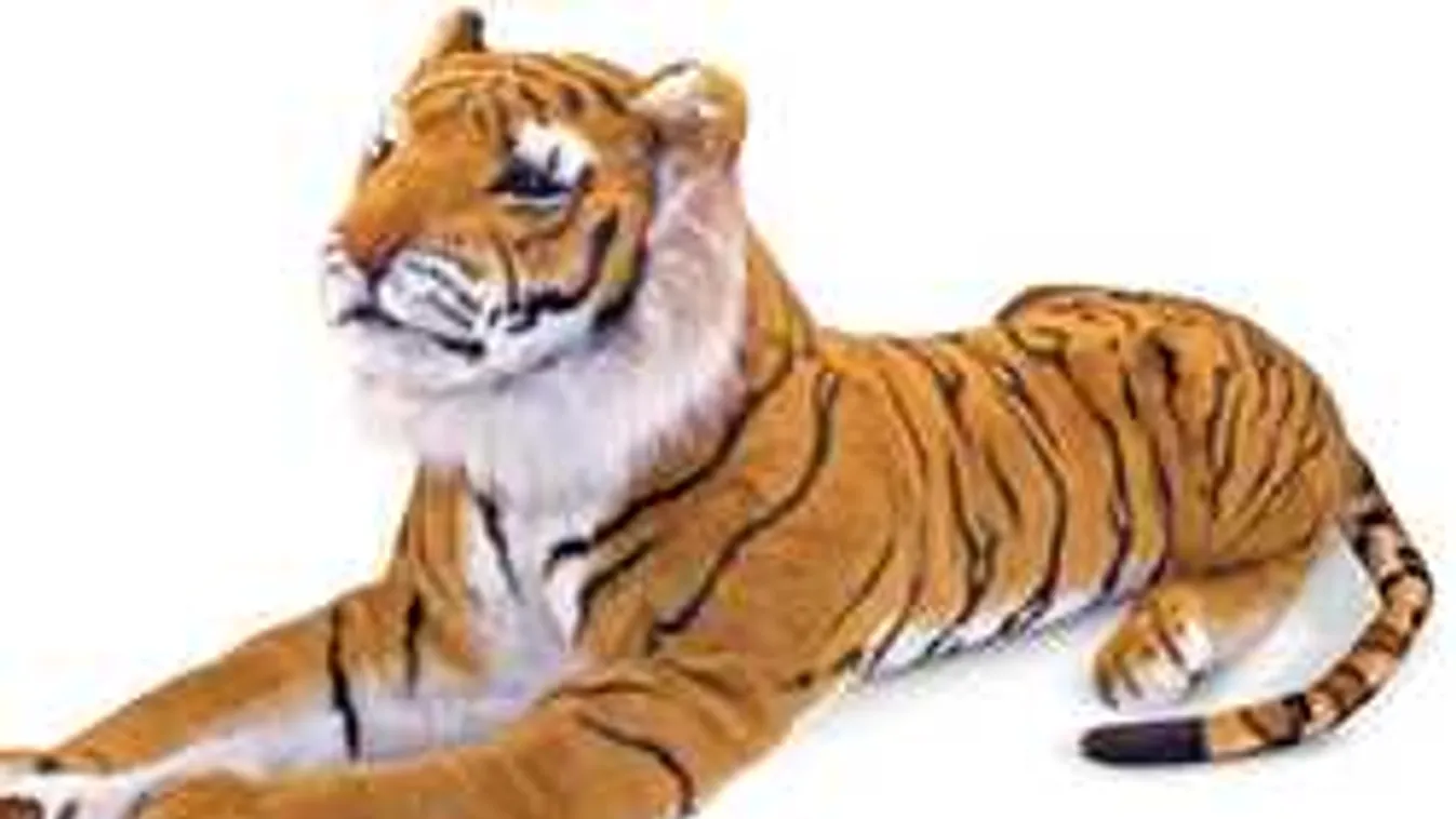 A szomszéd riasztotta az állatvédőket: ketrecbe zárt tigrist látott