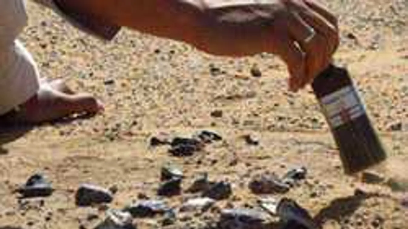 Óriási bejelentés, döbbenet, mi került elő a sírkamrából