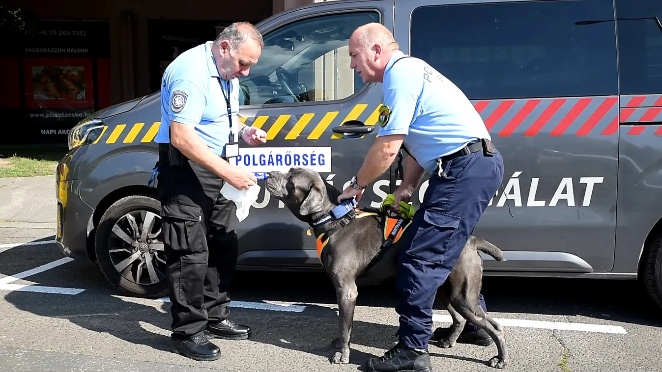 Megöléssel fenyegette a rendőröket a tolvaj, végül ez lett a sorsa