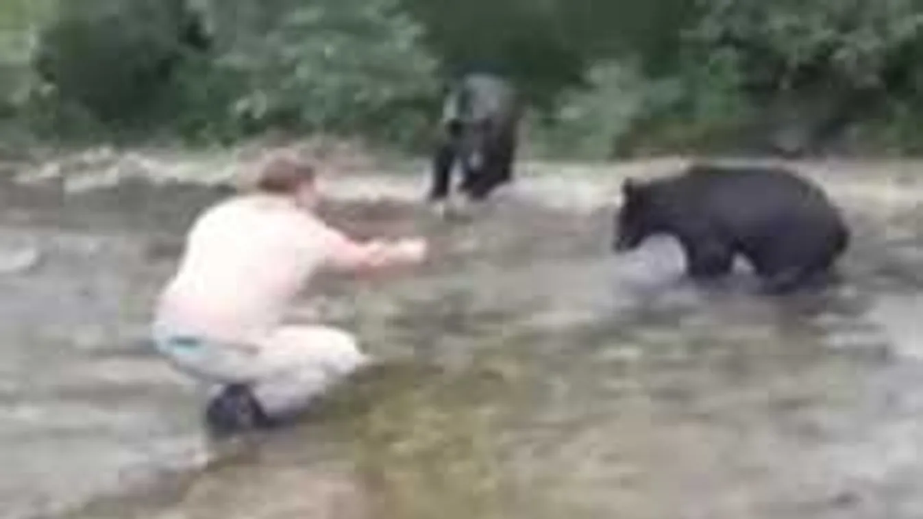 Puszta kezével etette a medvét a horgász! Ne csinálják utána - videó