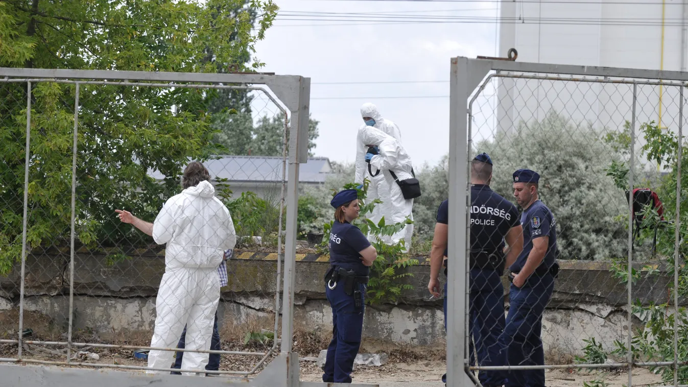 Letartóztatták az angyalföldi gyilkosság gyanúsítottját, íme a részletek