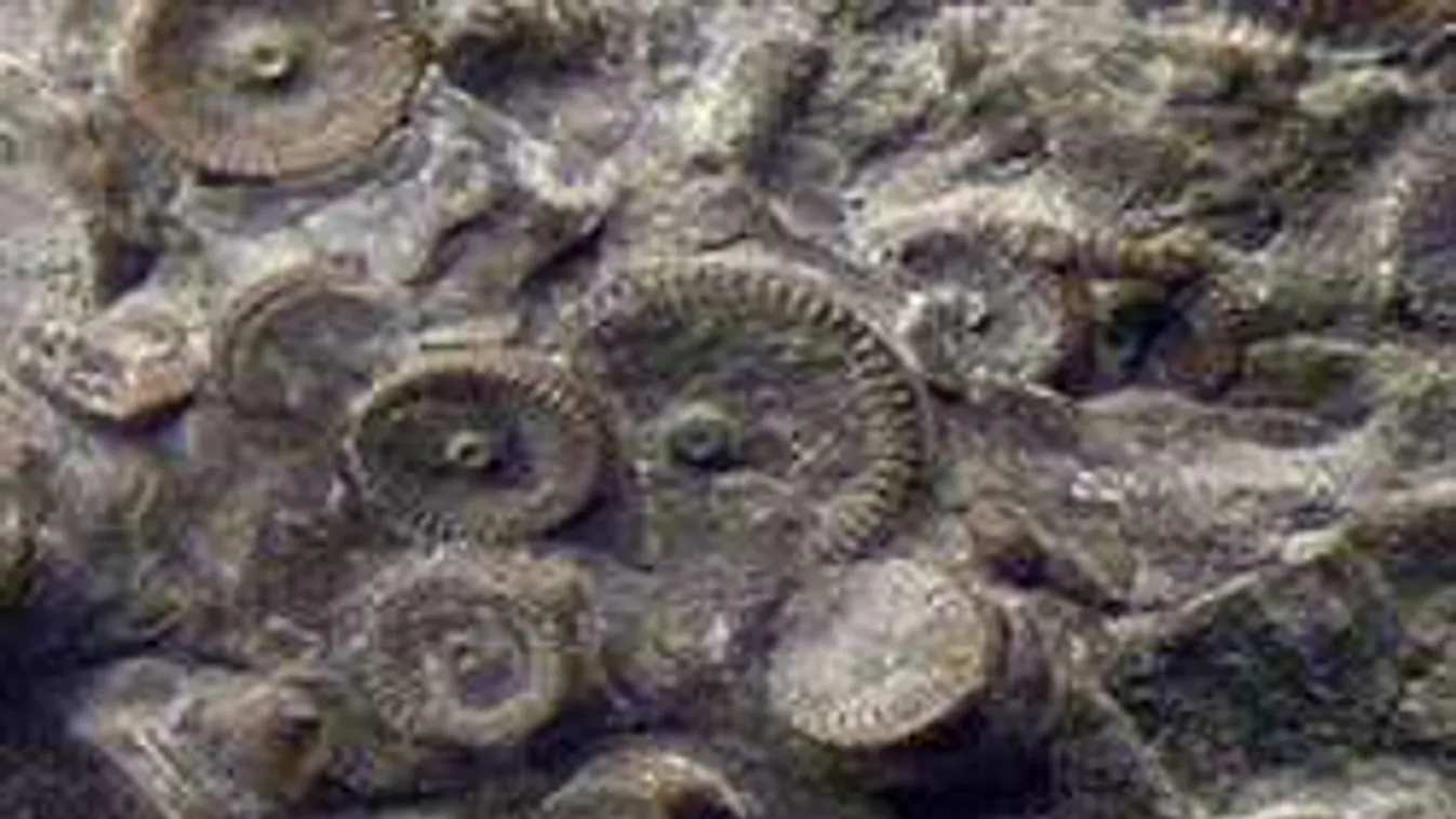 Földönkívülieké lehet a 400 millió éves lelet!