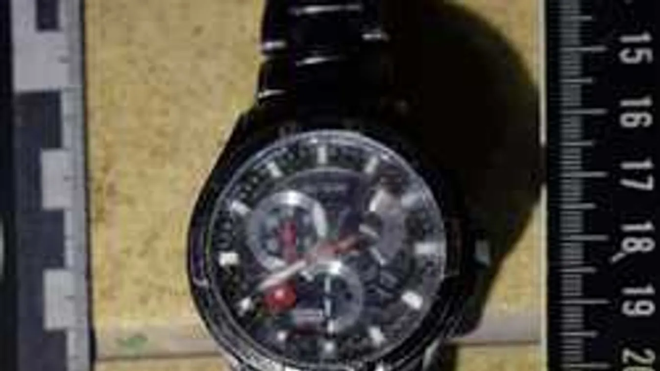 Rejtélyes holttestet húztak ki a Dunából, órája lehet a titok nyitja