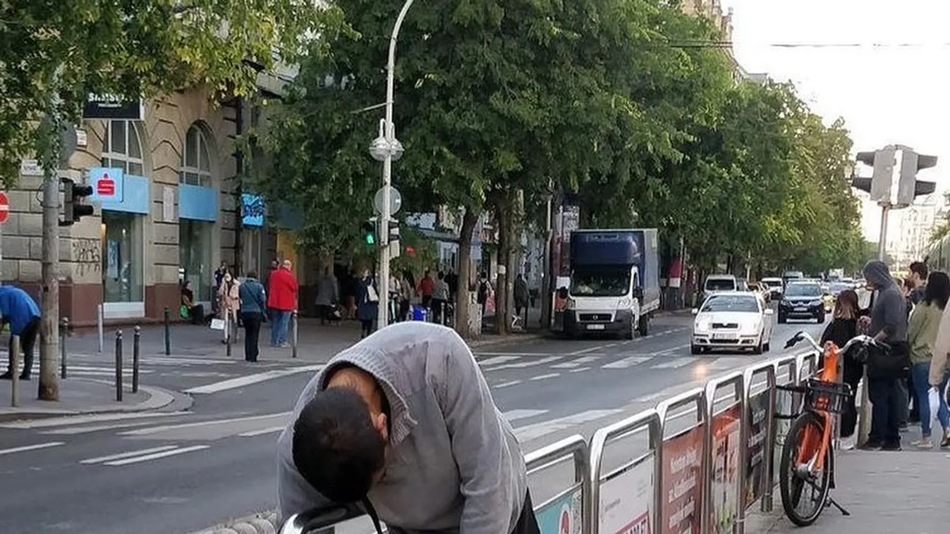 Borzalom, mit művelnek a herbál-zombik Budapest kellős közepén