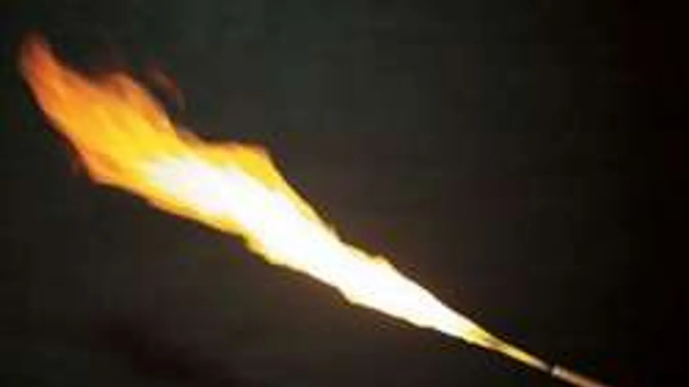 Borzalom: hegesztővel végeztek ki hat férfit a terroristák