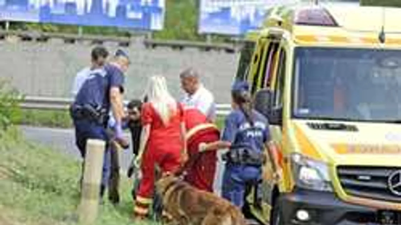 Nagy a baj a Stadionoknál: gyereket is behálóztak