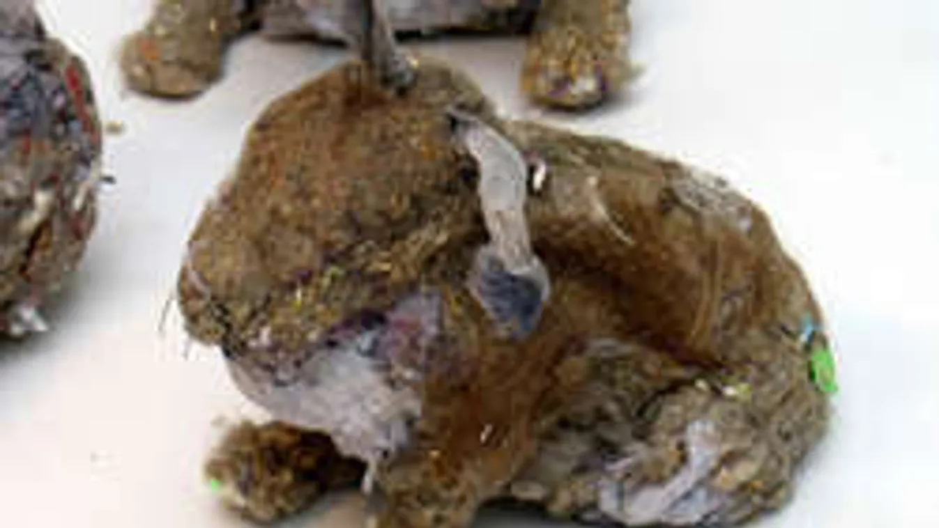 Sok otthon a porcica? Erre használhatod!