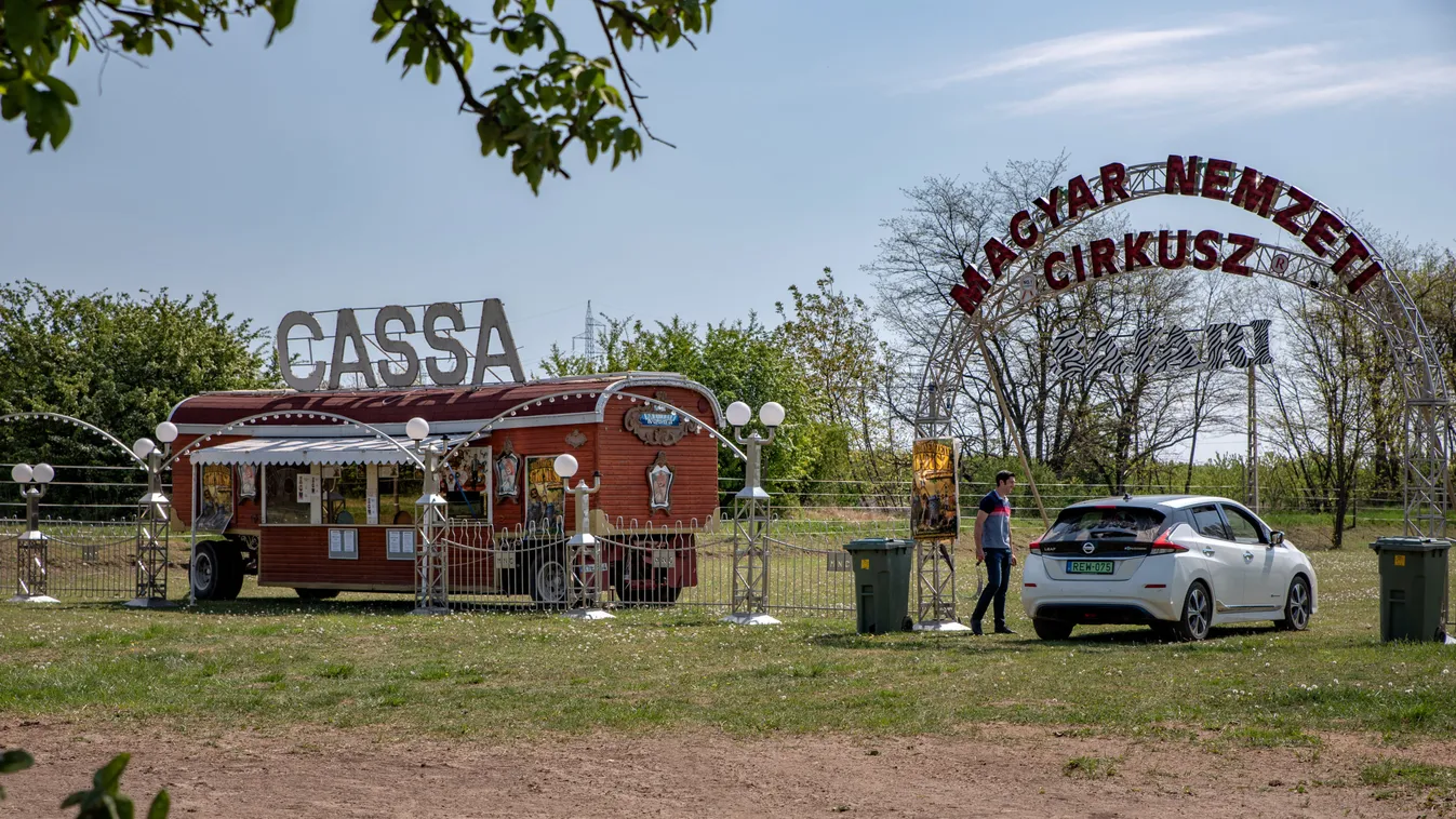 Elefántok, zsiráfok, zebrák... Autós szafari nyit szerdán Magyarországon!