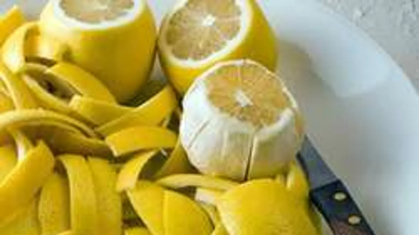 Vajon mitől mérgező a citrom és a narancs héja?