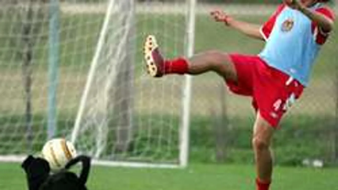 Állati jelenet a pályán, gólt fejelt a kutya! - videó