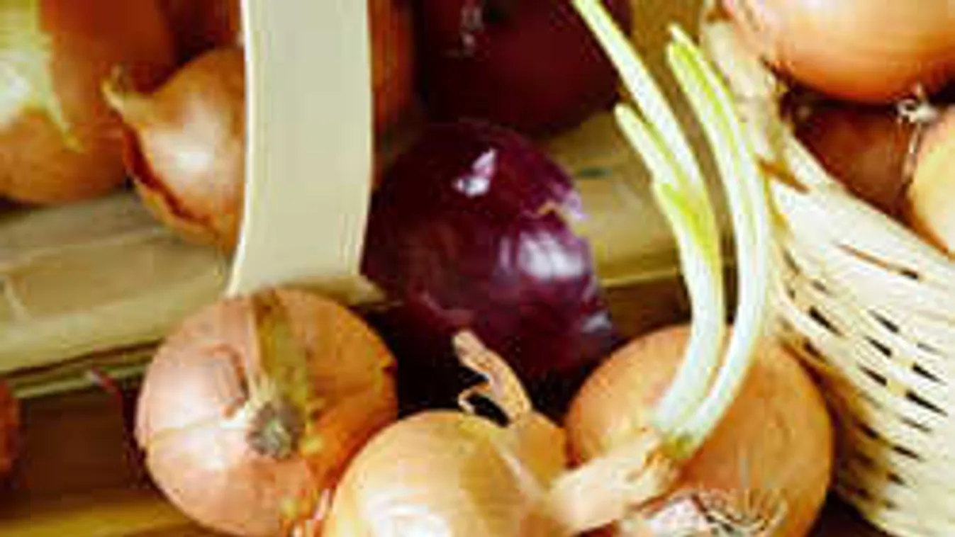 Migránstámadás a legendás hagymavásáron: a nőt fogdosták, a barátját megverték