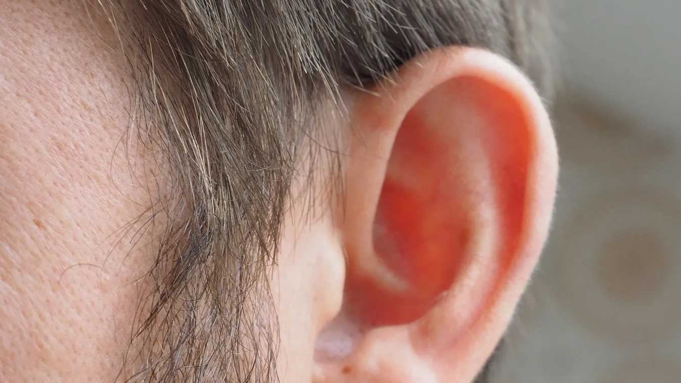 Elsápadt a férfi, mikor meglátta, mi élt a fülében napokig