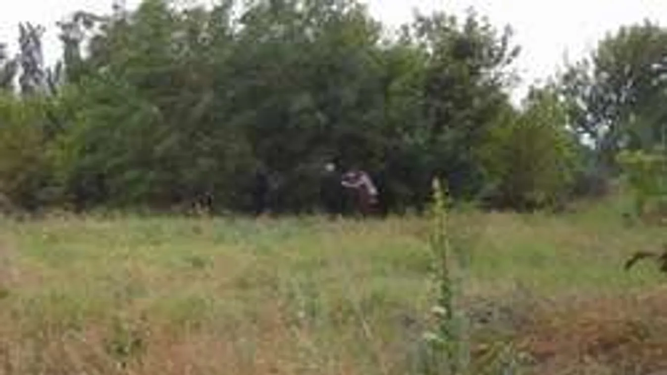 A család szerint meggyilkolták és kifosztották a Várpalotán megtalált bácsit