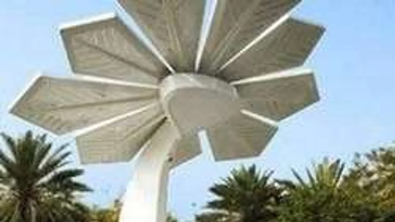 Már fán is terem a wi-fi?