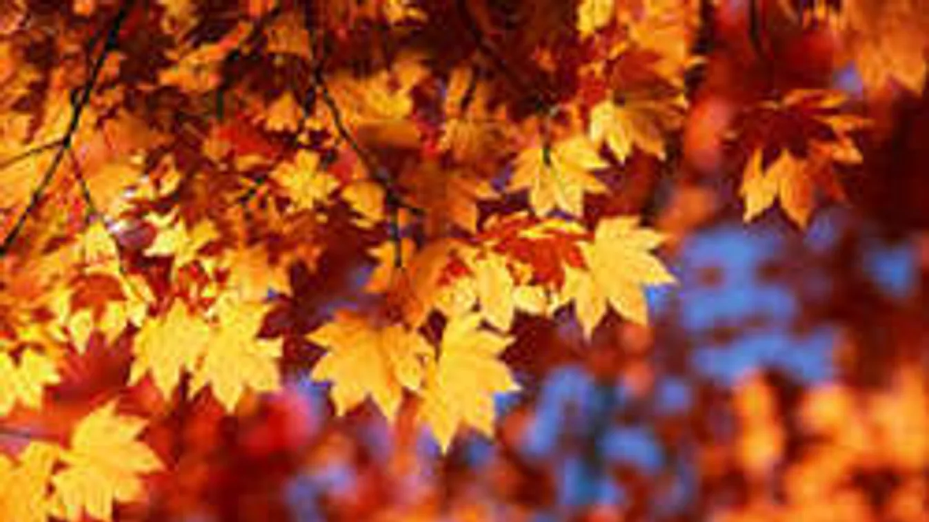 Komoly veszélyre figyelmeztetnek ma a meteorológusok!