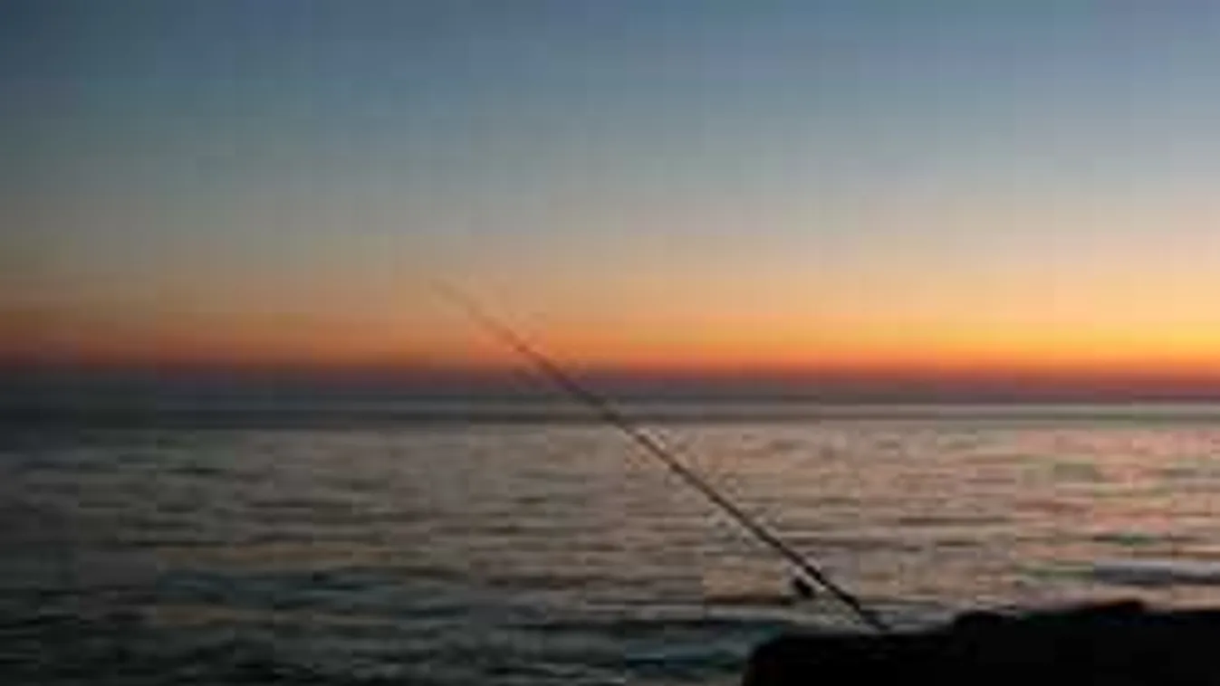 A horgászok is megdöbbentek, gigantikus hal került elő a Desedából