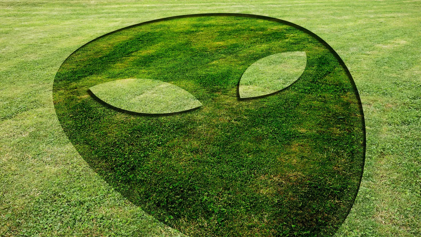 Remegve videózták a gazdák: földönkívüli nyomokra bukkantak a gabonaföldeken