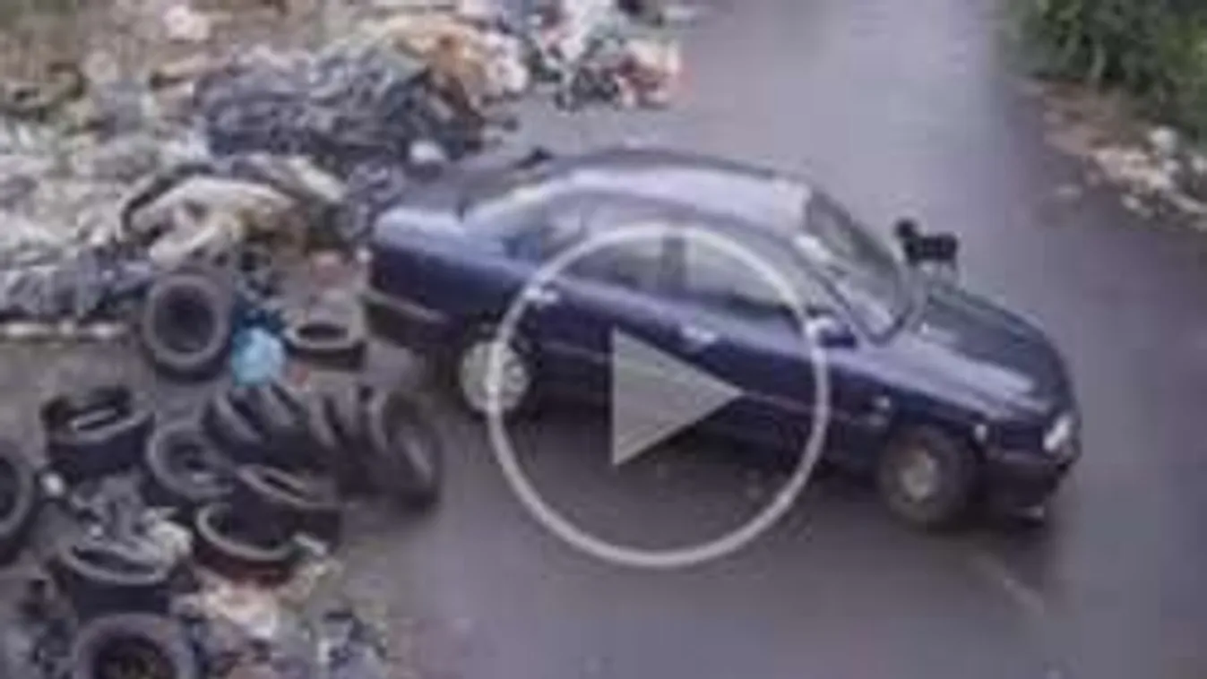 Kidobta a kutyáját a szeméttelepnél!