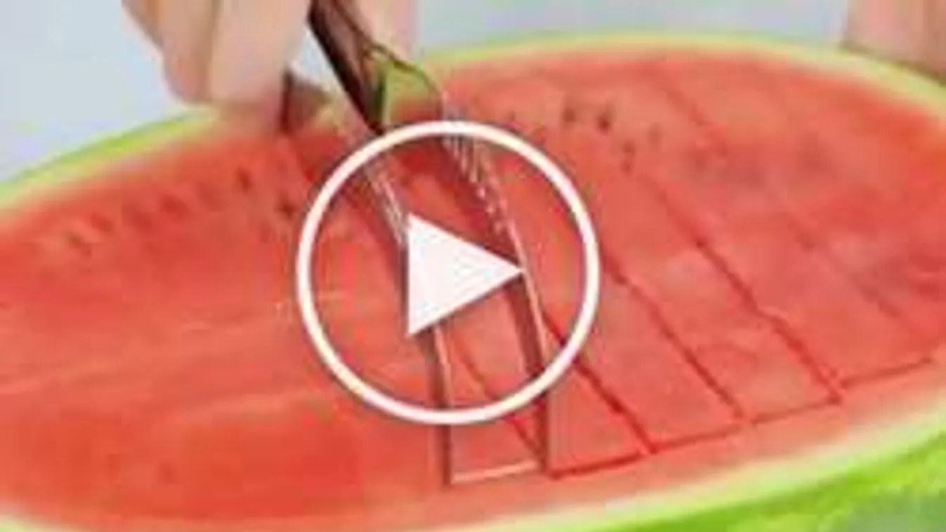 Megvan az eszköz, ami mindenkinek kell!