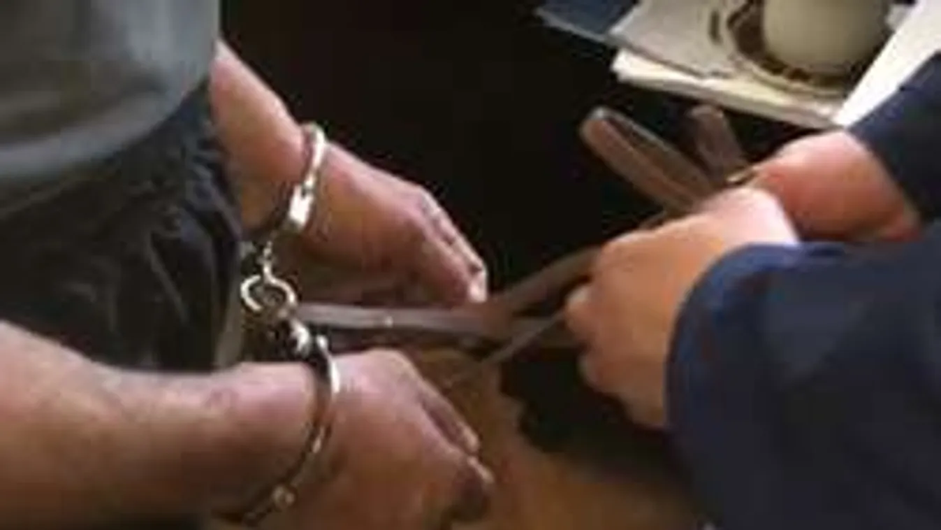 Így vitték a bíróságra a brutális késelőt - videó!