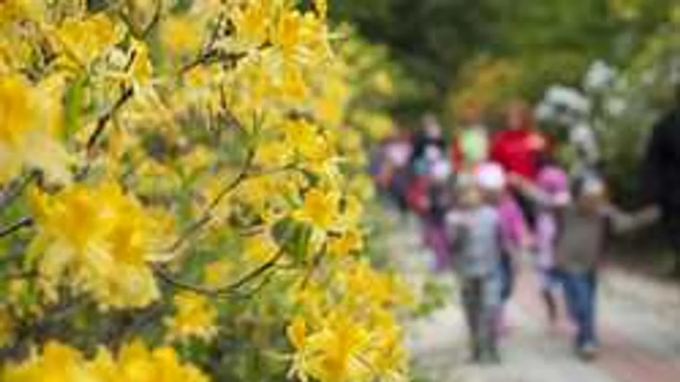 Kirándulj a szabadba! Íme Magyarország legszebb arborétumai
