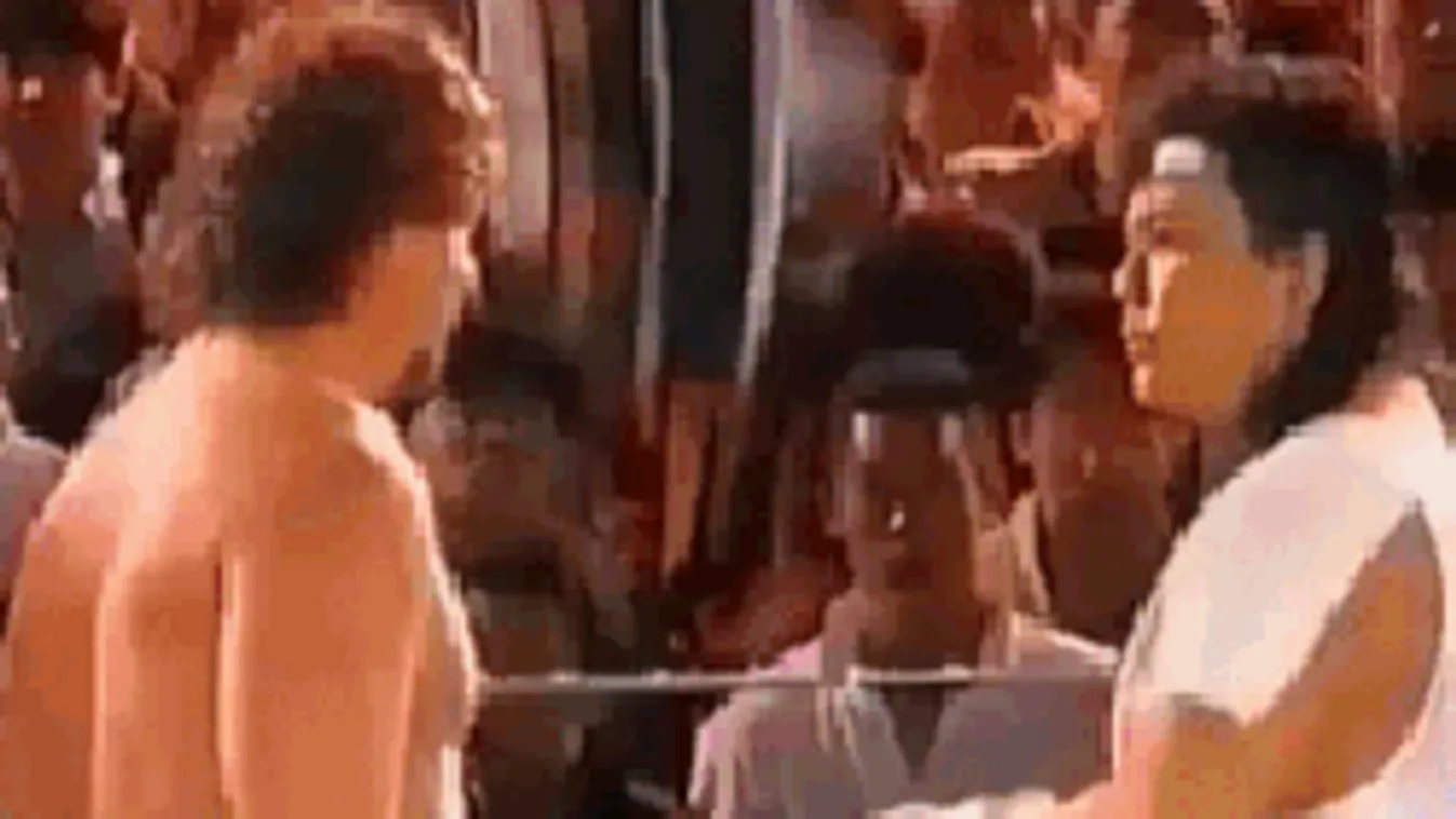 Élőben verekedett össze Bárdosi Sándor és Növényi Norbert