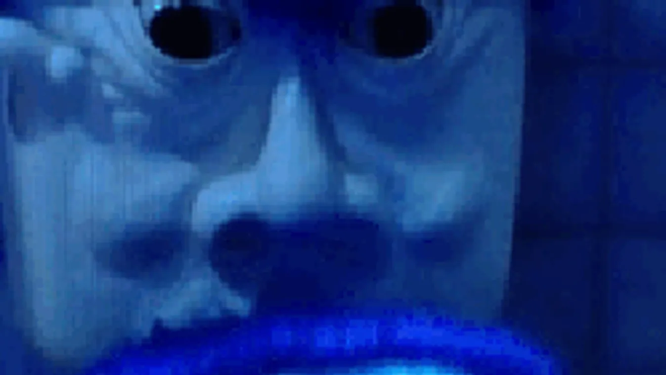 15 tény, amit sosem tudtál a WC-ről