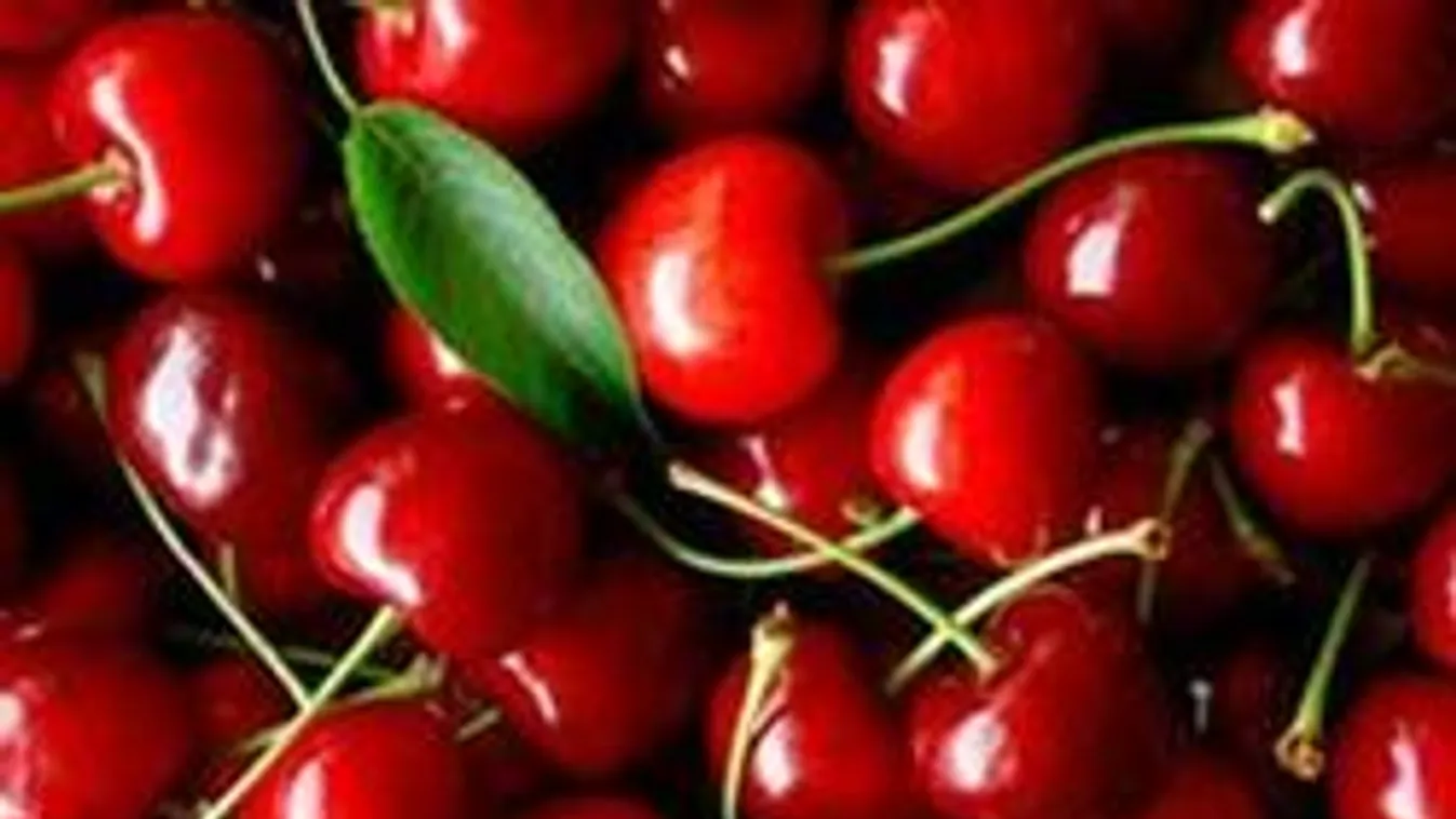 Háziasszonyok, figyelem! Forradalmi újítás meggymagozás-ügyben!