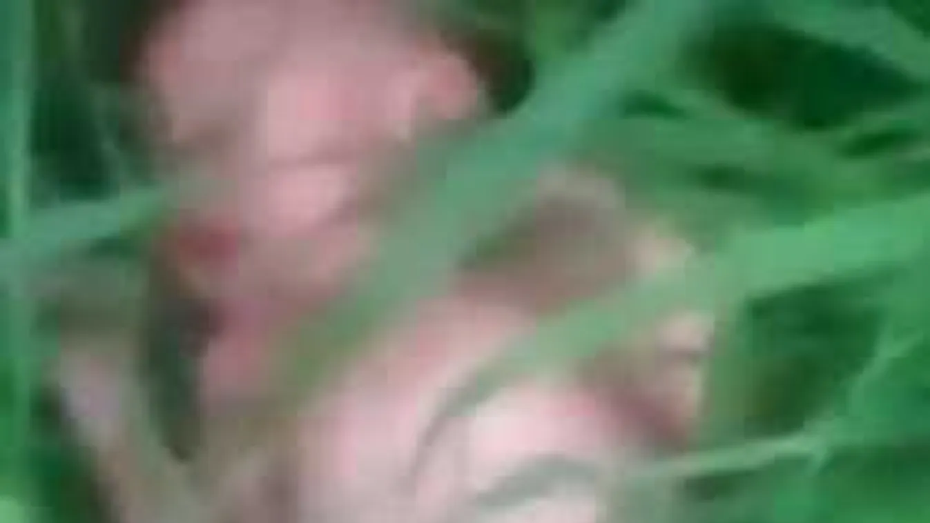 Meztelenül feküdt a fűben, a tűzoltók találtak az újszülöttre