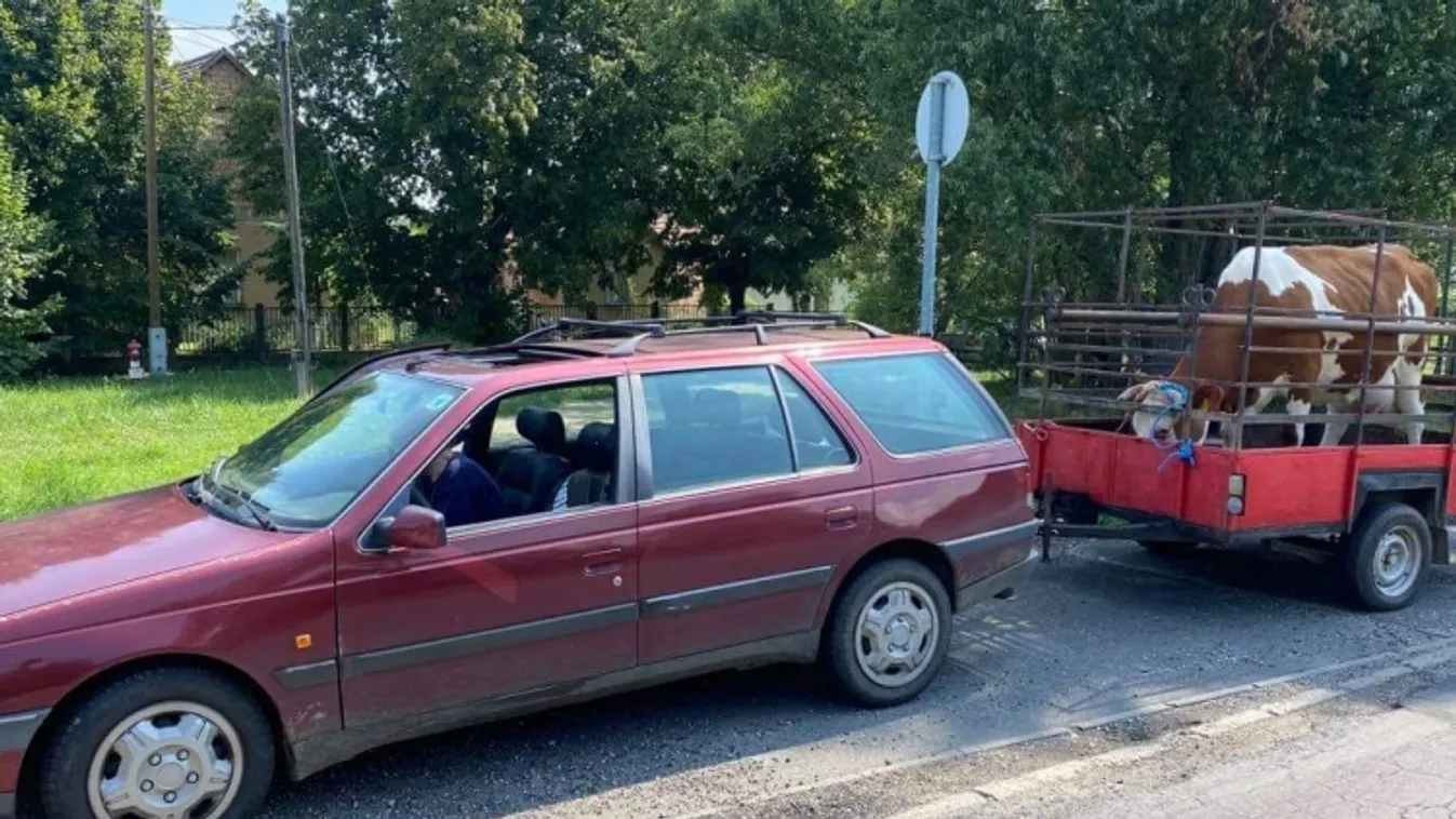 Túl lassan ment az autópályán, megbüntették