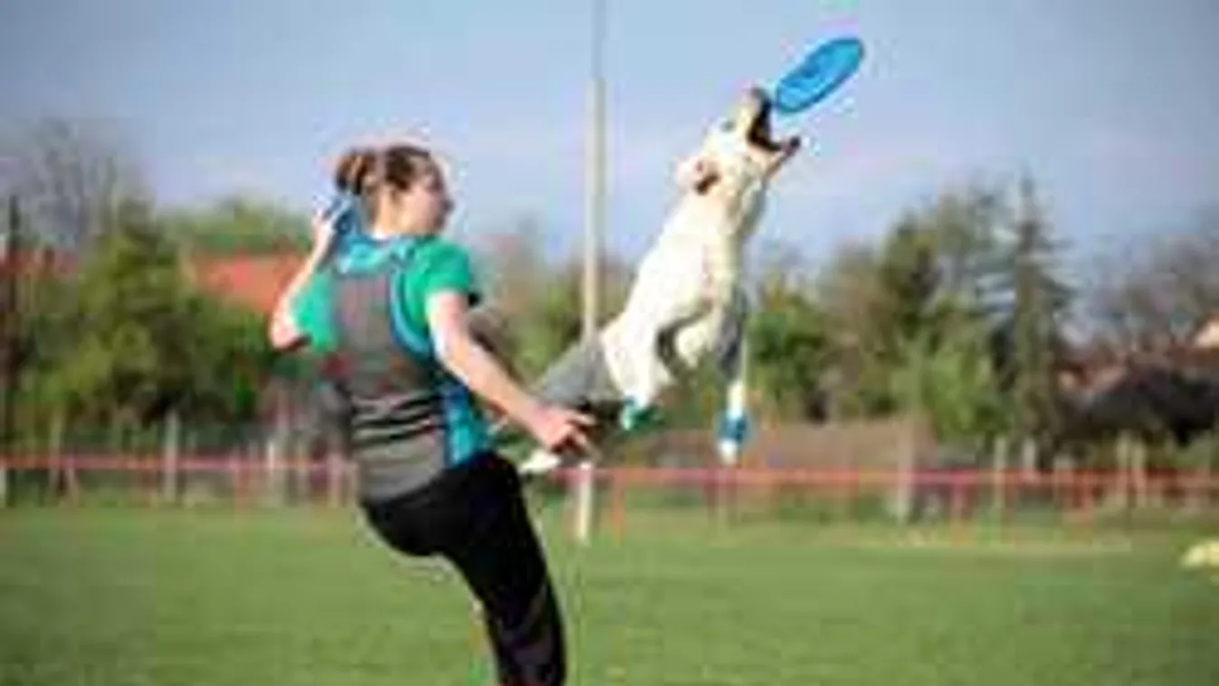 Eszméletlen, mit művel ez a Keszegfalván élő nő a kutyájával