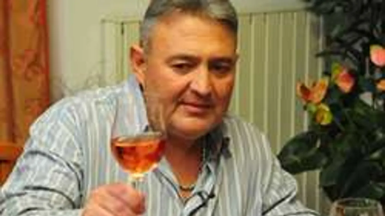 Kiderült, járt-e alkoholelvonón Gesztesi Károly!