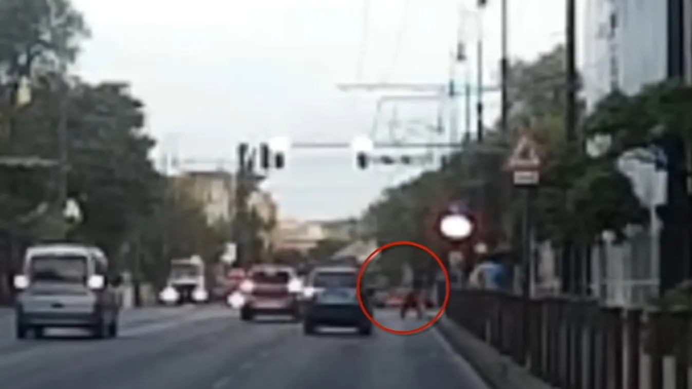 Baleset történt a Dózsa György úton, mert a sofőrt nem zavarta a piros lámpa