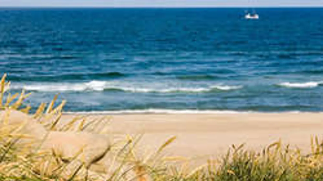 Megtalálod az elrejtett alakot a képen? Figyelj, koncentrálnod kell hozzá!