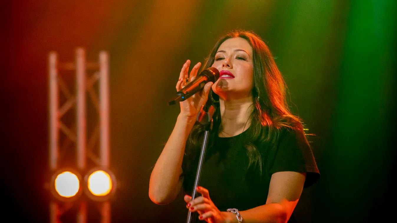 Raktárkoncert: Janicsák Veca főállású háziasszony lett