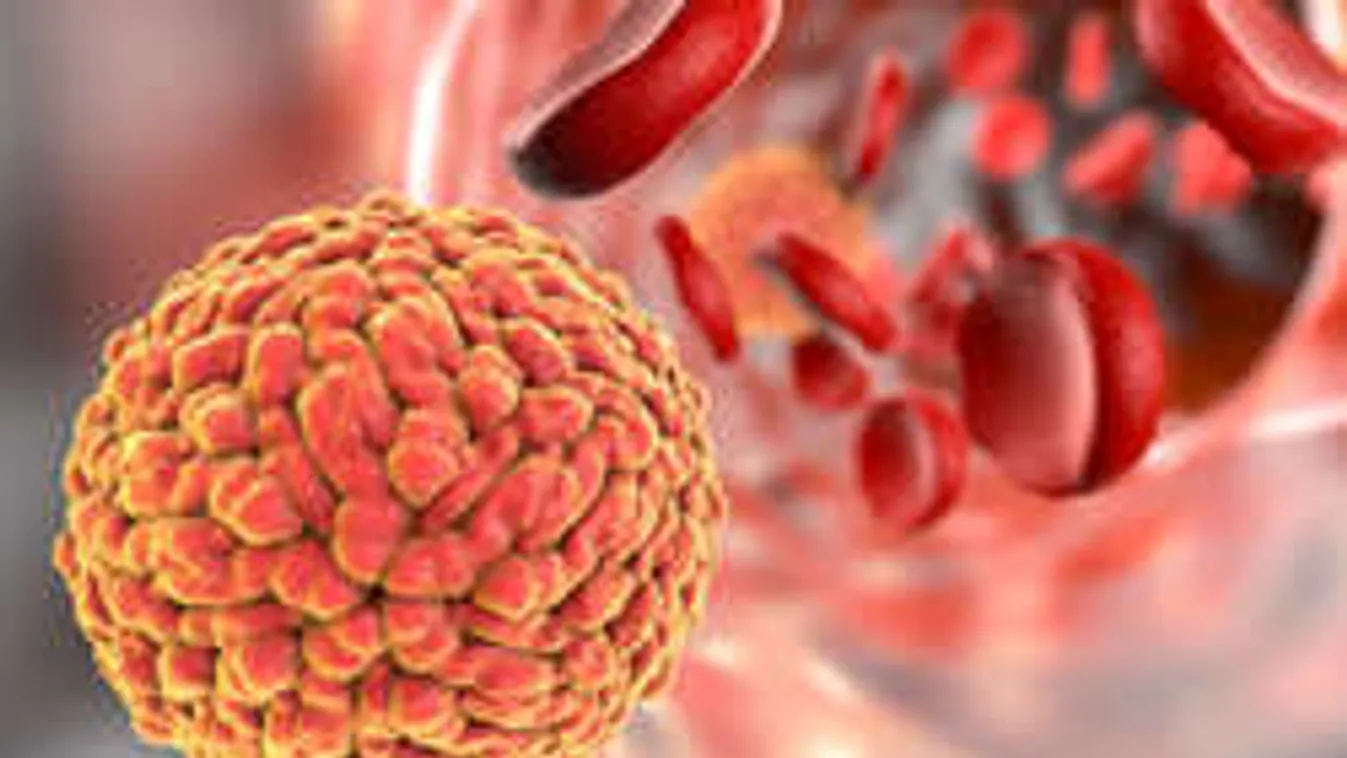 Úti csomag Rióból: Zika-vírust hozhatnak a hazatérő magyarok