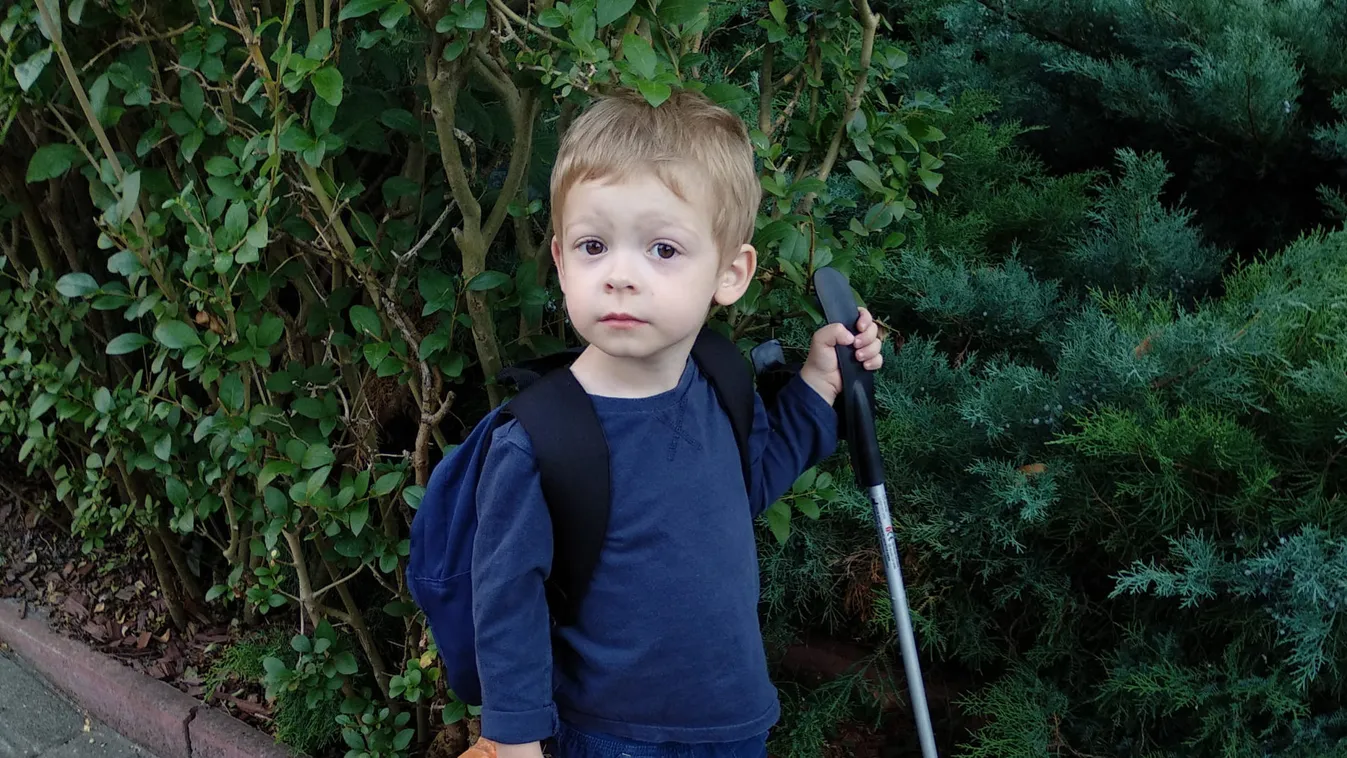 Idén is lesz TeSzedd